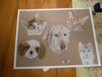 /album/galerie-photos/photo-1464-jpg/